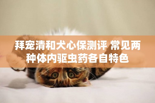 拜寵清和犬心保測評 常見兩種體內驅蟲藥各自特色