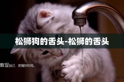 松獅狗的舌頭-松獅的舌頭
