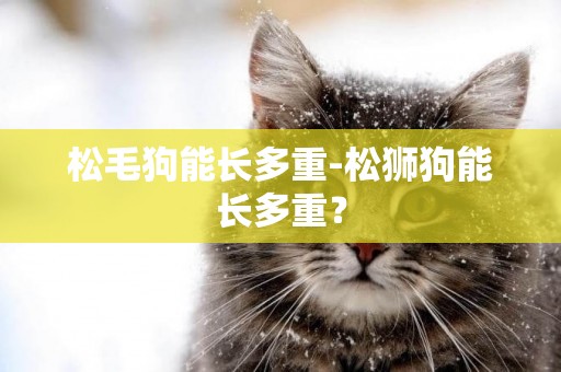 松毛狗能長多重-松獅狗能長多重？