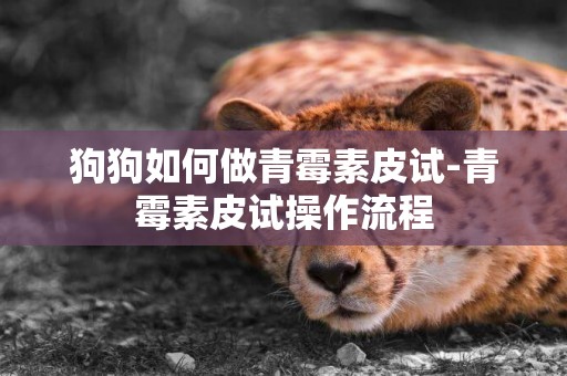 狗狗如何做青霉素皮試-青霉素皮試操作流程