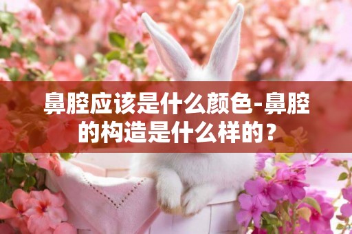 鼻腔應該是什么顏色-鼻腔的構造是什么樣的？