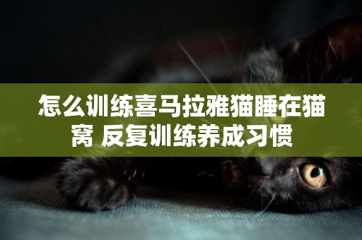 怎么訓練喜馬拉雅貓睡在貓窩 反復訓練養成習慣