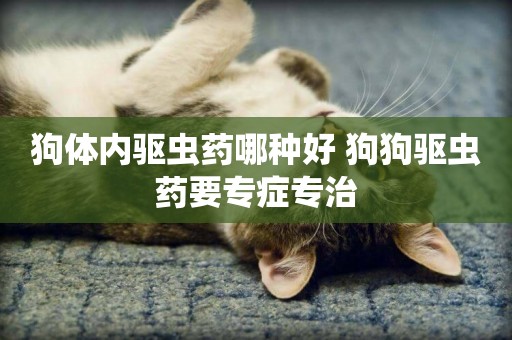 狗體內驅蟲藥哪種好 狗狗驅蟲藥要專癥專治