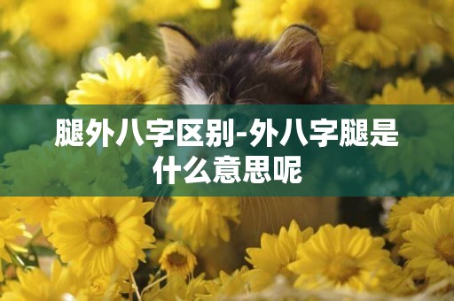 腿外八字區別-外八字腿是什么意思呢