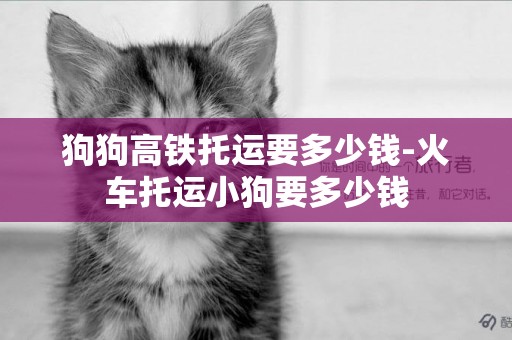 狗狗高鐵托運要多少錢-火車托運小狗要多少錢