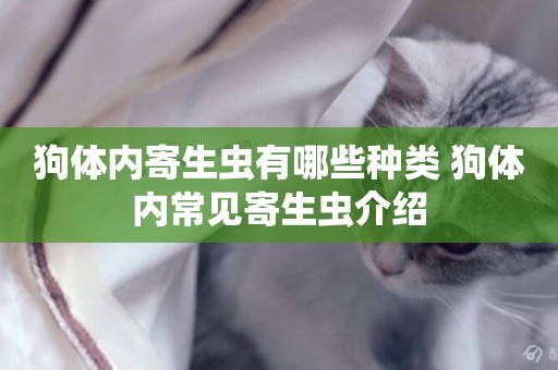 狗體內寄生蟲有哪些種類 狗體內常見寄生蟲介紹