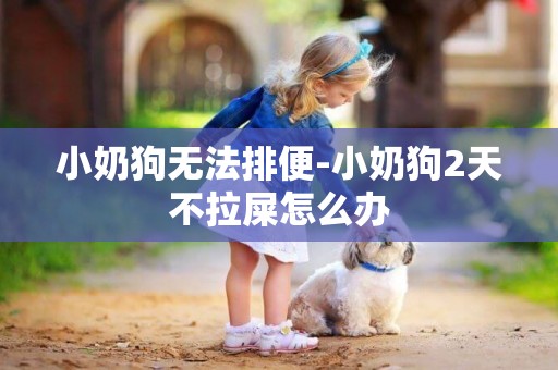 小奶狗無法排便-小奶狗2天不拉屎怎么辦