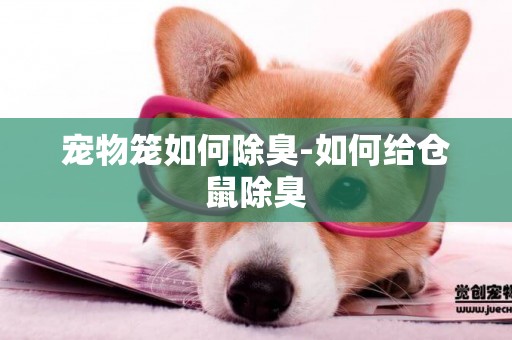 寵物籠如何除臭-如何給倉鼠除臭