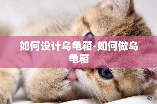 如何設計烏龜箱-如何做烏龜箱