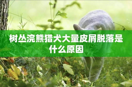 樹叢浣熊獵犬大量皮屑脫落是什么原因 樹叢浣熊獵犬大量皮屑脫落是什么原因