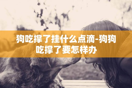 狗吃撐了掛什么點滴-狗狗吃撐了要怎樣辦