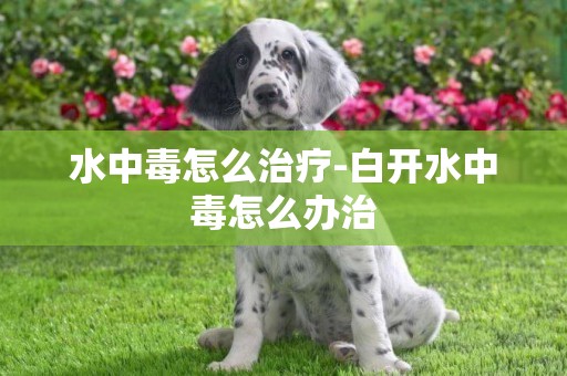 水中毒怎么治療-白開水中毒怎么辦治