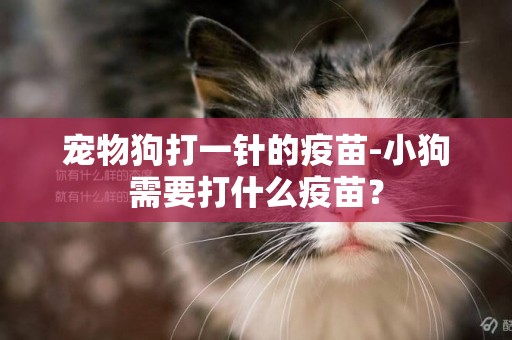 寵物狗打一針的疫苗-小狗需要打什么疫苗？