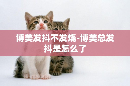 博美發抖不發燒-博美總發抖是怎么了