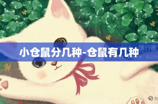 小倉鼠分幾種-倉鼠有幾種