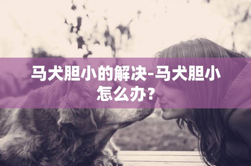 馬犬膽小的解決-馬犬膽小怎么辦？