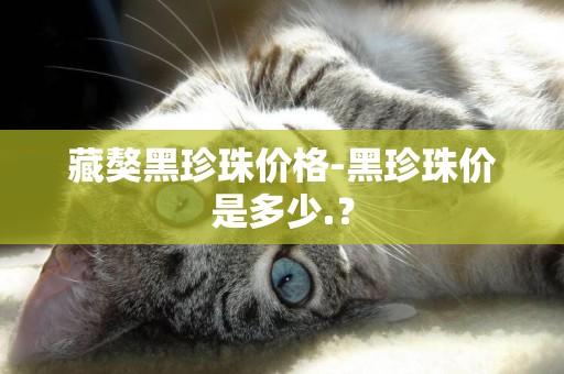 藏獒黑珍珠價格-黑珍珠價是多少.？
