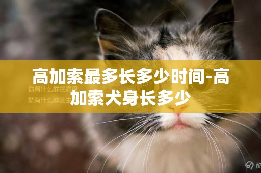 高加索最多長多少時間-高加索犬身長多少