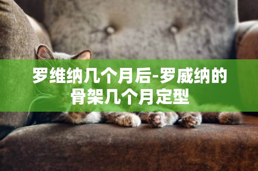 羅維納幾個月后-羅威納的骨架幾個月定型