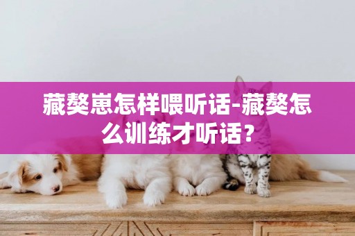 藏獒崽怎樣喂聽話-藏獒怎么訓練才聽話？