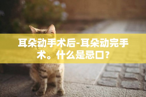 耳朵動手術后-耳朵動完手術。什么是忌口？