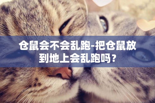 倉鼠會不會亂跑-把倉鼠放到地上會亂跑嗎？