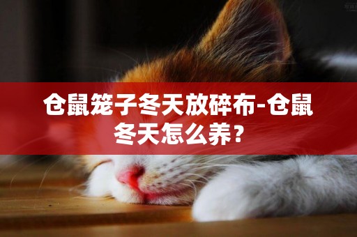 倉鼠籠子冬天放碎布-倉鼠冬天怎么養？