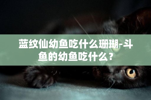 藍紋仙幼魚吃什么珊瑚-斗魚的幼魚吃什么？