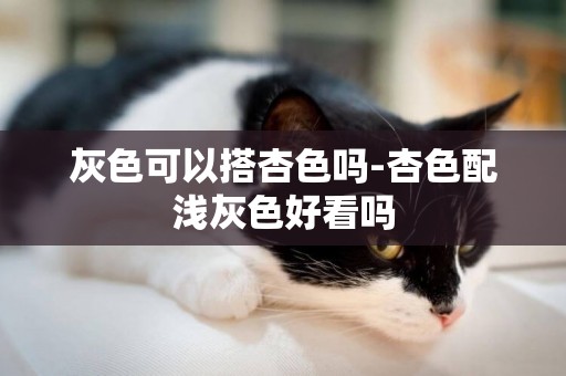 灰色可以搭杏色嗎-杏色配淺灰色好看嗎