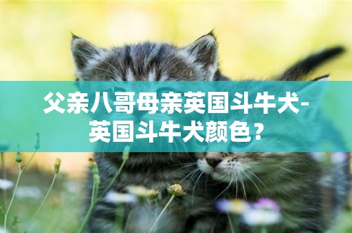 父親八哥母親英國斗牛犬-英國斗牛犬顏色？