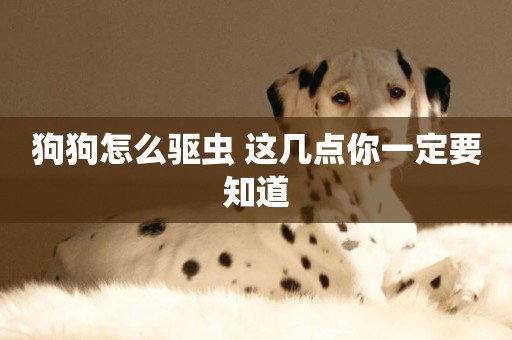 狗狗怎么驅蟲 這幾點你一定要知道