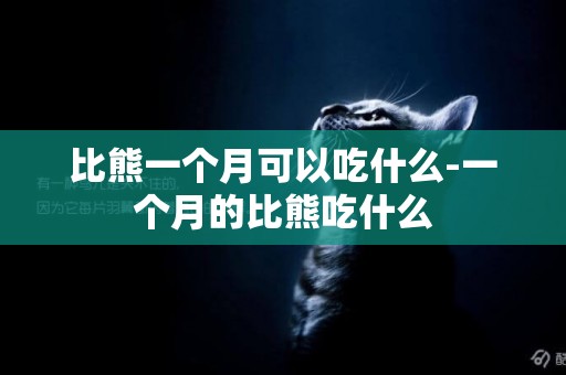 比熊一個月可以吃什么-一個月的比熊吃什么