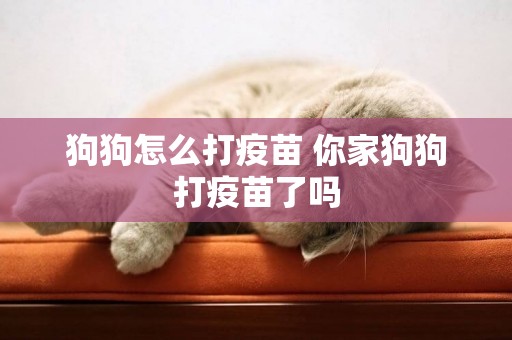 狗狗怎么打疫苗 你家狗狗打疫苗了嗎