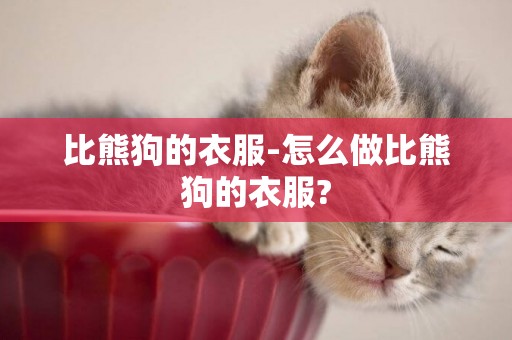 比熊狗的衣服-怎么做比熊狗的衣服?