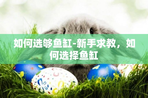 如何選夠魚缸-新手求教，如何選擇魚缸