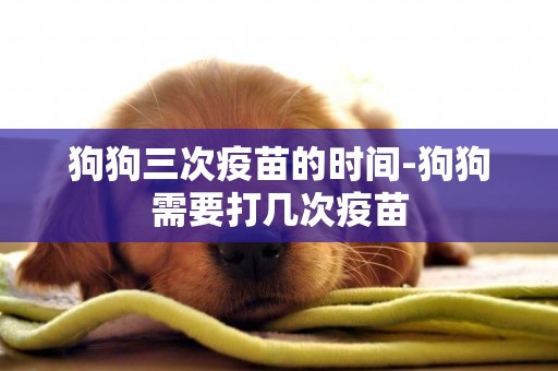 狗狗三次疫苗的時間-狗狗需要打幾次疫苗