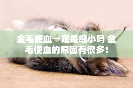 金毛便血一定是細小嗎 金毛便血的原因有很多！