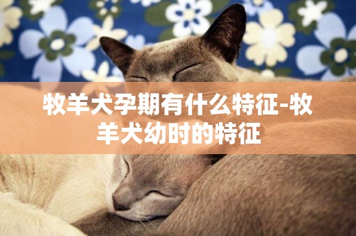牧羊犬孕期有什么特征-牧羊犬幼時的特征