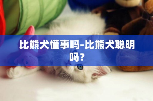 比熊犬懂事嗎-比熊犬聰明嗎？