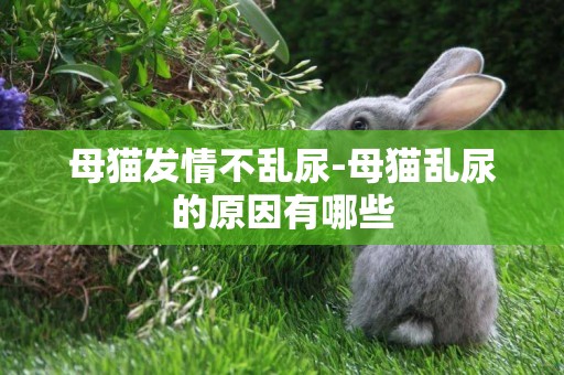 母貓發情不亂尿-母貓亂尿的原因有哪些