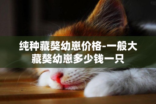 純種藏獒幼崽價格-一般大藏獒幼崽多少錢一只