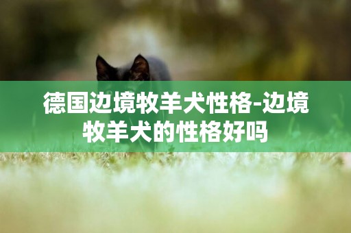 德國邊境牧羊犬性格-邊境牧羊犬的性格好嗎