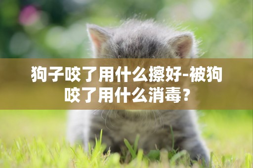 狗子咬了用什么擦好-被狗咬了用什么消毒？
