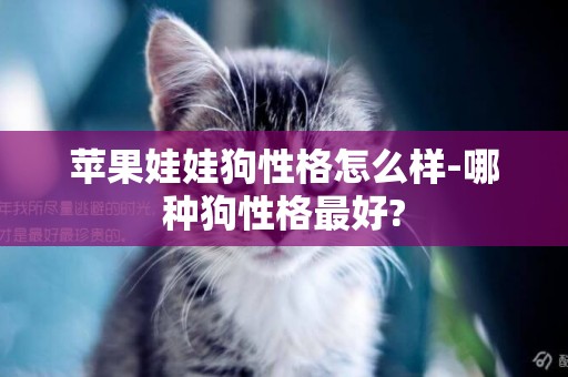 蘋果娃娃狗性格怎么樣-哪種狗性格最好?