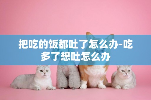 把吃的飯都吐了怎么辦-吃多了想吐怎么辦