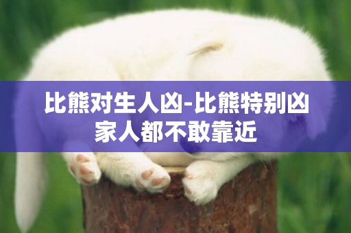 比熊對生人兇-比熊特別兇家人都不敢靠近