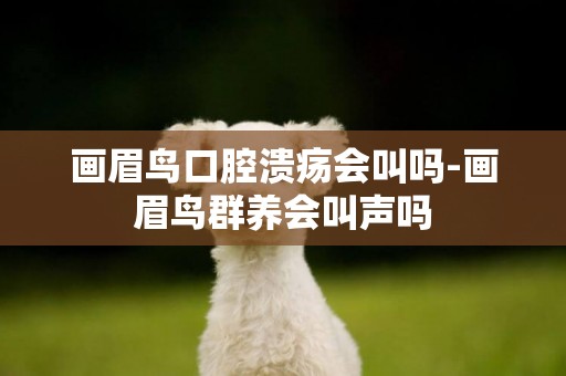 畫眉鳥口腔潰瘍會叫嗎-畫眉鳥群養會叫聲嗎