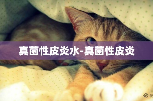 真菌性皮炎水-真菌性皮炎