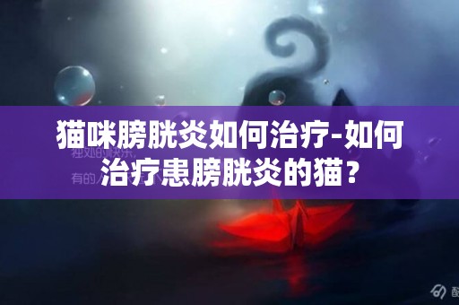 貓咪膀胱炎如何治療-如何治療患膀胱炎的貓？