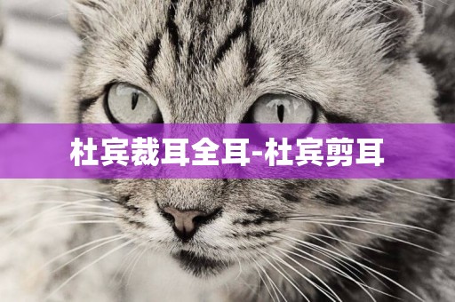 杜賓裁耳全耳-杜賓剪耳